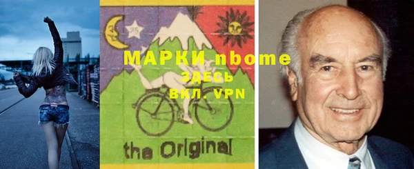 гашик Алексин