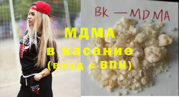 гашик Алексин