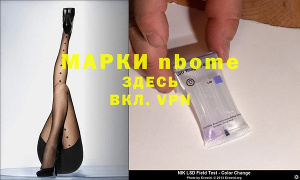 гашик Алексин