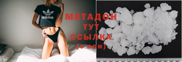 гашик Алексин