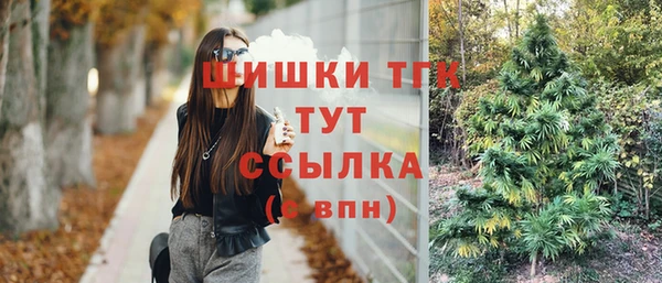 гашик Алексин
