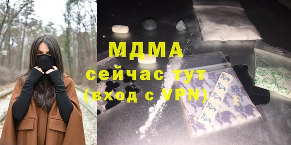 гашик Алексин