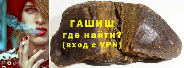 гашик Алексин