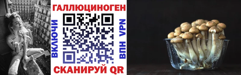Купить где  Ангарск  Галлюциногенные грибы мухоморы 